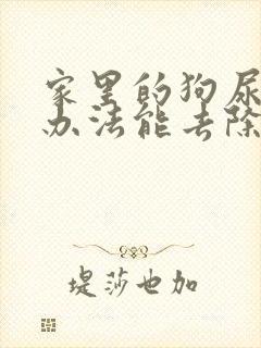 家里的狗尿味啥办法能去除