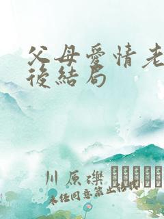 父母爱情老丁最后结局