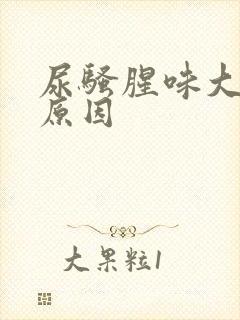 尿骚腥味大什么原因