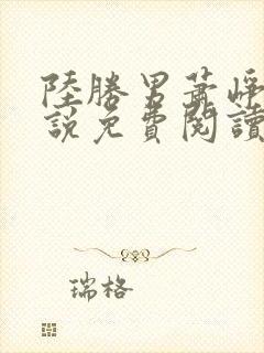 陆胜男萧峥的小说免费阅读全文