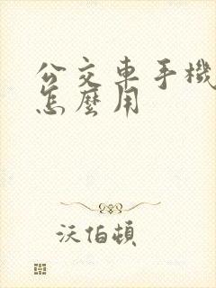 公交车手机支付怎么用