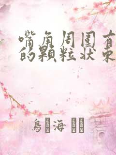 嘴角周围有白色的颗粒状东西