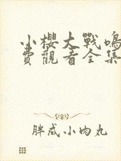 小樱大战鸣人免费观看全集动漫