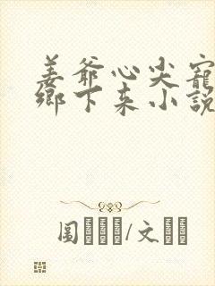 姜爷心尖宠她从乡下来小说全文免费阅读