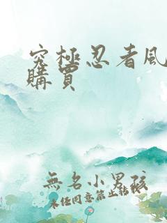 究极忍者风暴4购买