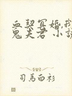 血契冥婚,我的鬼夫君 小说