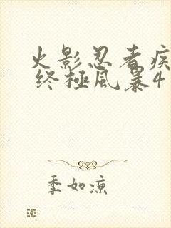 火影忍者疾风传 终极风暴4 博人传