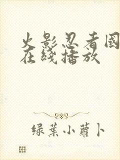 火影忍者国语版在线播放