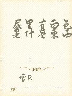 尿里有白色颗粒是什么东西