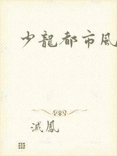 少龙都市风流行