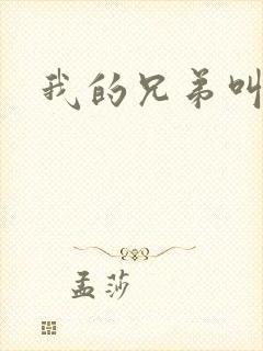 我的兄弟叫向前