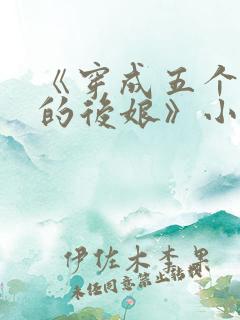 《穿成五个反派的后娘》小说