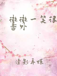 微微一笑很倾城番外