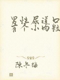 男性尿道口里面有个小肉粒