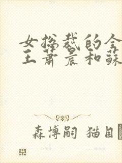 女总裁的全能兵王萧晨和苏晴