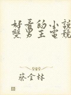 好看的小说推荐双男主电竞