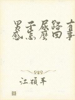 男子尿路有刺痛感怎么回事