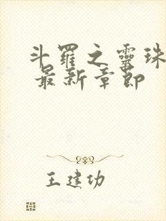 斗罗之灵珠神剑 最新章节