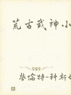 荒古武神小说