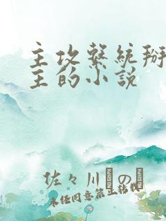 主攻系统掰弯男主的小说