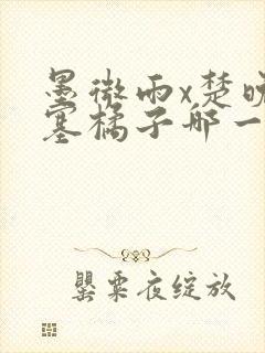 墨微雨x楚晚宁塞橘子哪一章