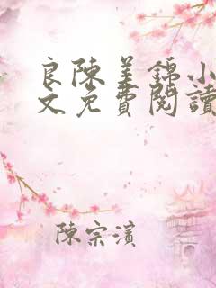 良陈美锦小说全文免费阅读