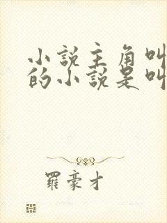 小说主角叫夏天的小说是叫什么名字