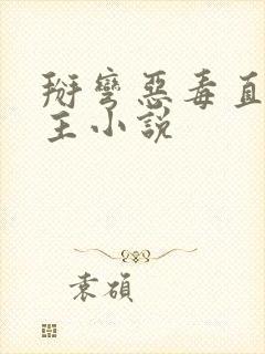 掰弯恶毒直男男主小说