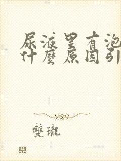 尿液里有泡沫是什么原因引起的