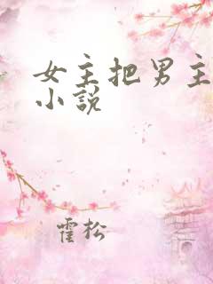 女主把男主掰直小说