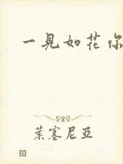 一见如花你就笑