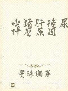 吃猪肝后尿黄是什么原因