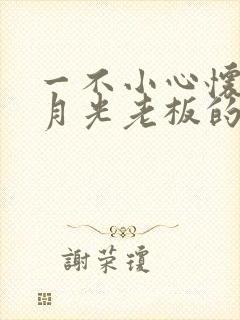 一不小心怀了白月光老板的崽短剧合集