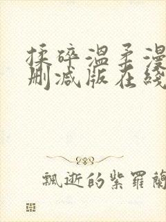 揉碎温柔漫画未删减版在线观看