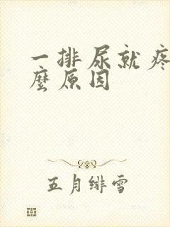 一排尿就疼是什么原因