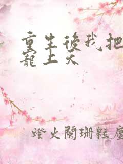 重生后我把老婆宠上天