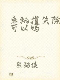 车辆损失险不买可以吗