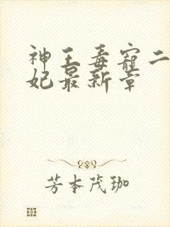 神王毒宠二嫁王妃最新章