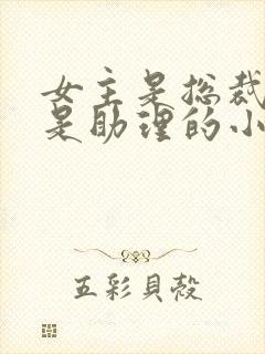 女主是总裁男主是助理的小说