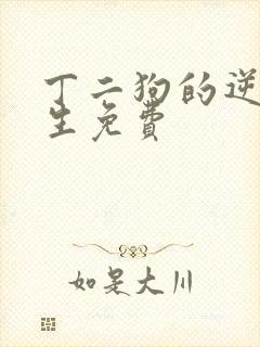 丁二狗的逆袭人生免费