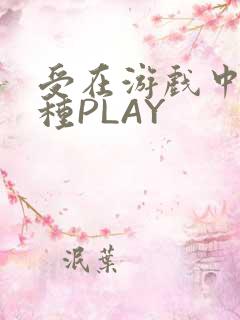 受在游戏中被各种PLAY