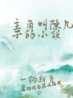 主角叫陈凡打蚊子的小说