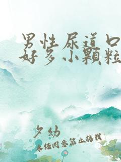 男性尿道口起了好多小颗粒