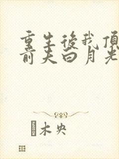 重生后我顶替了前夫白月光新章节