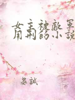 女主被敌军俘虏用刑的小说