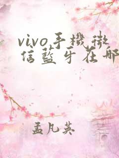 vivo手机微信蓝牙在哪里打开