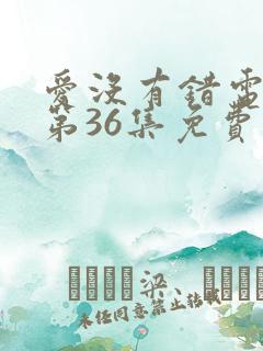 爱没有错电视剧第36集免费观看