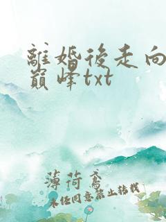 离婚后走向人生巅峰txt