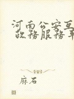 河南公安互联网 政务服务平台