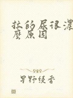 拉的尿很浓是什么原因